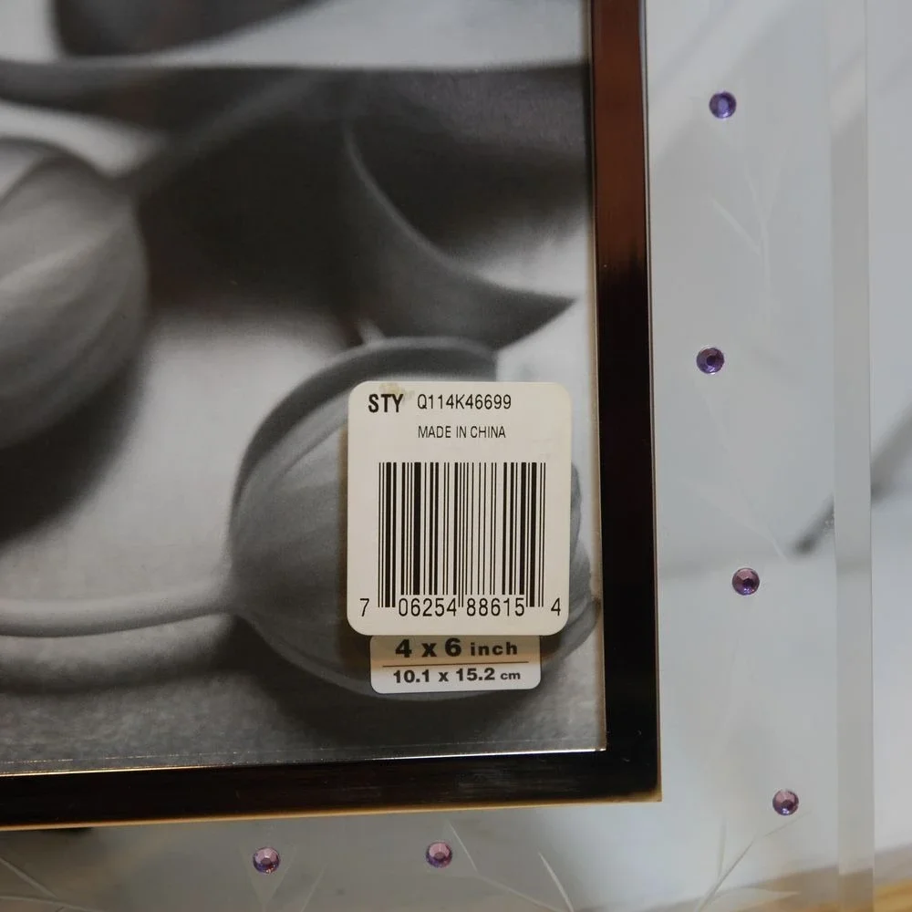 Vintage 4x6 Picture Frame NWT‎ Etched Glass floral purple rhinestones Y2K